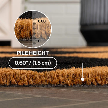 Paige Modern Classic Diamond-patterned Coir Area Rug